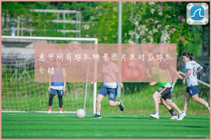 意甲所有球队绰号图片及对应球队介绍
