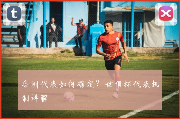 各洲代表如何确定？世俱杯代表机制详解